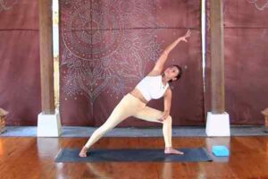 Vinaysa Flow - Luci Soemitra - online class - The Yoga Rescue