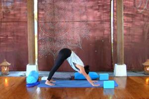 The Yoga Rescue - Online Yoga Studio - Prenatal 2nd Trimester