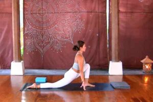 The Yoga Rescue Online yoga studio Luci Soemitra Full body stretch vinyasa